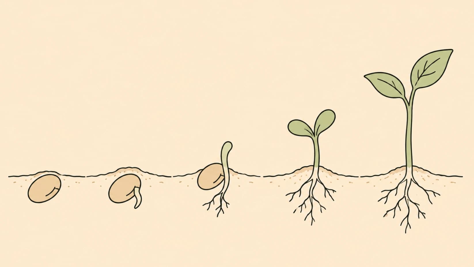 Cover Image for Foreshadowing: How to Plant Clues Readers Remember