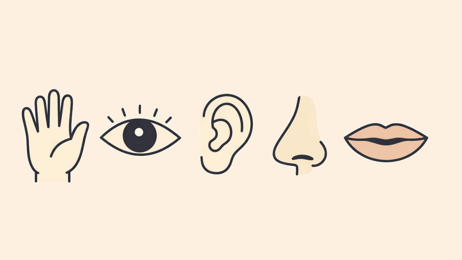 An illustration of the five senses: touch, sight, smell, hearing, and taste.